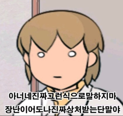 밈 이미지 12
