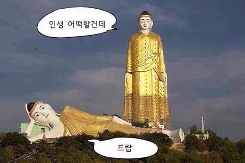 밈 이미지 130