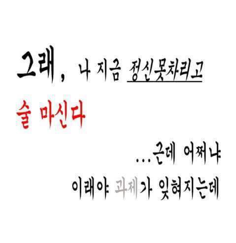 밈 이미지 131