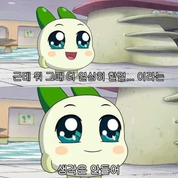 밈 이미지 195