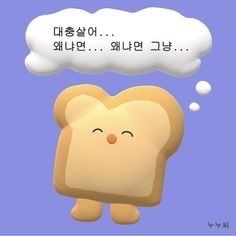 밈 이미지 244